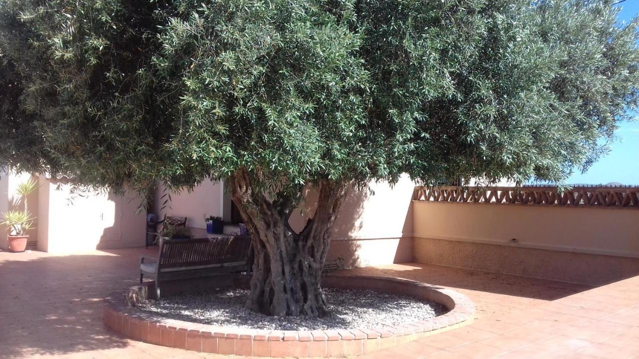 Finca Milagro Villa San Fulgencio Kültér fotó