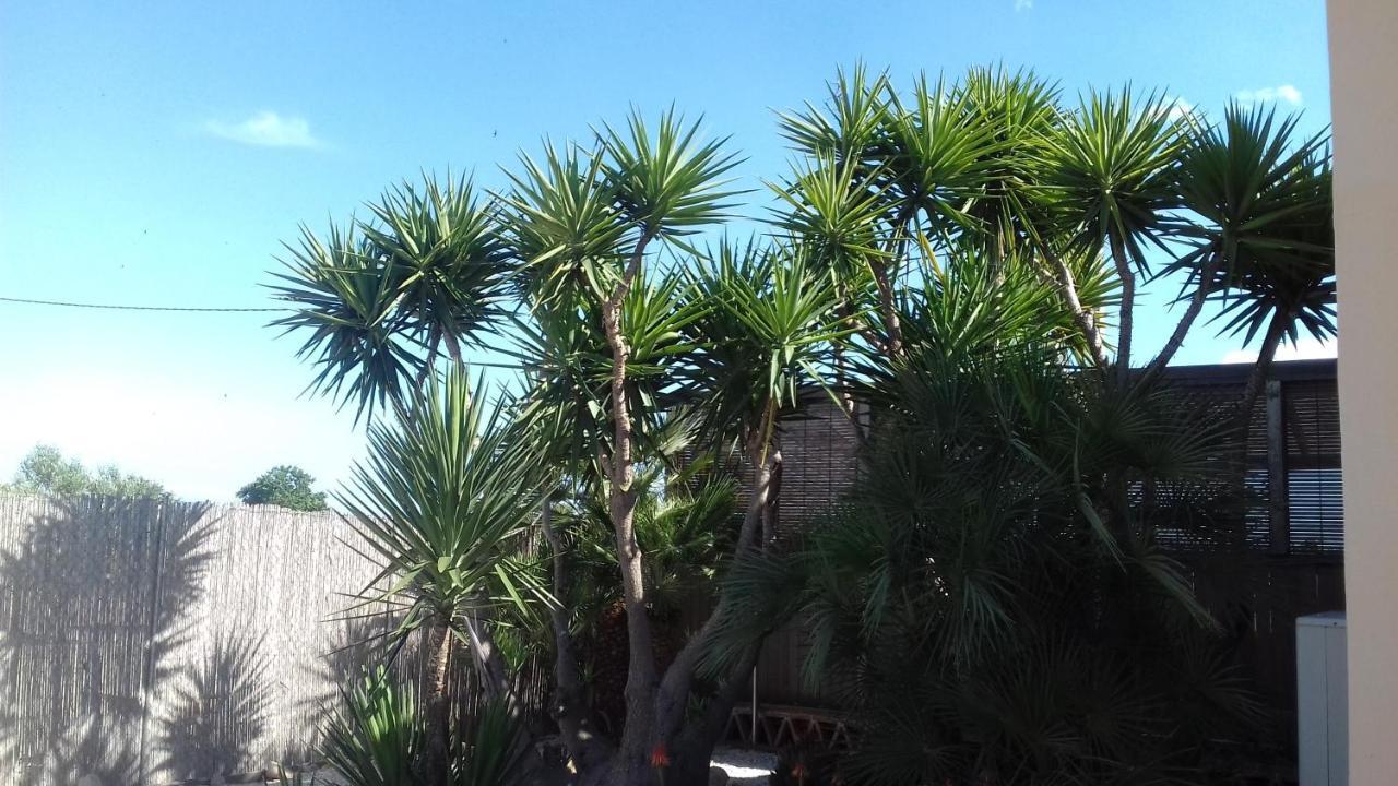 Finca Milagro Villa San Fulgencio Kültér fotó